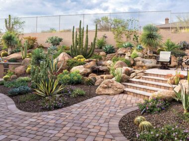 Front Yard Desert Landscaping Ideas on a Budget